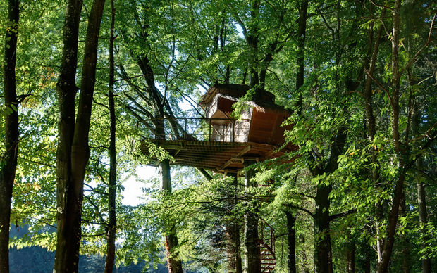 Cabane-dans-les-arbres