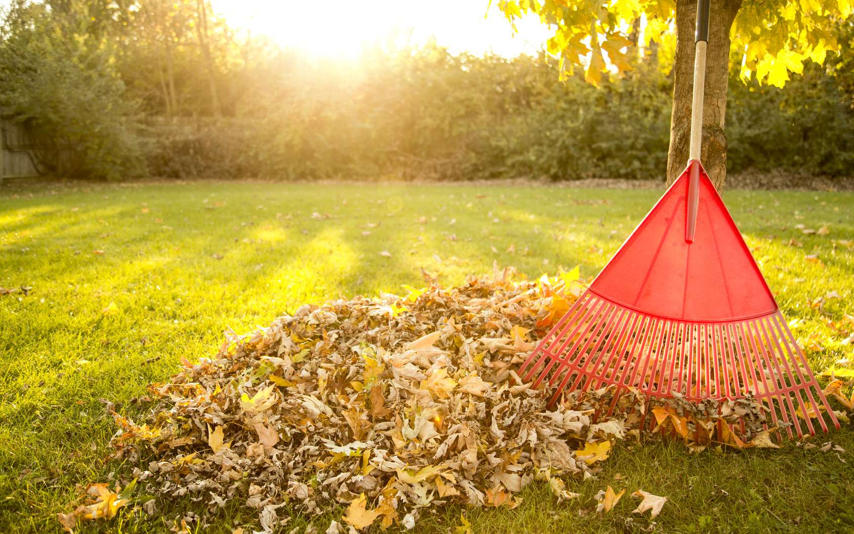 Comment-préparer-votre-jardin-pour-l'automne