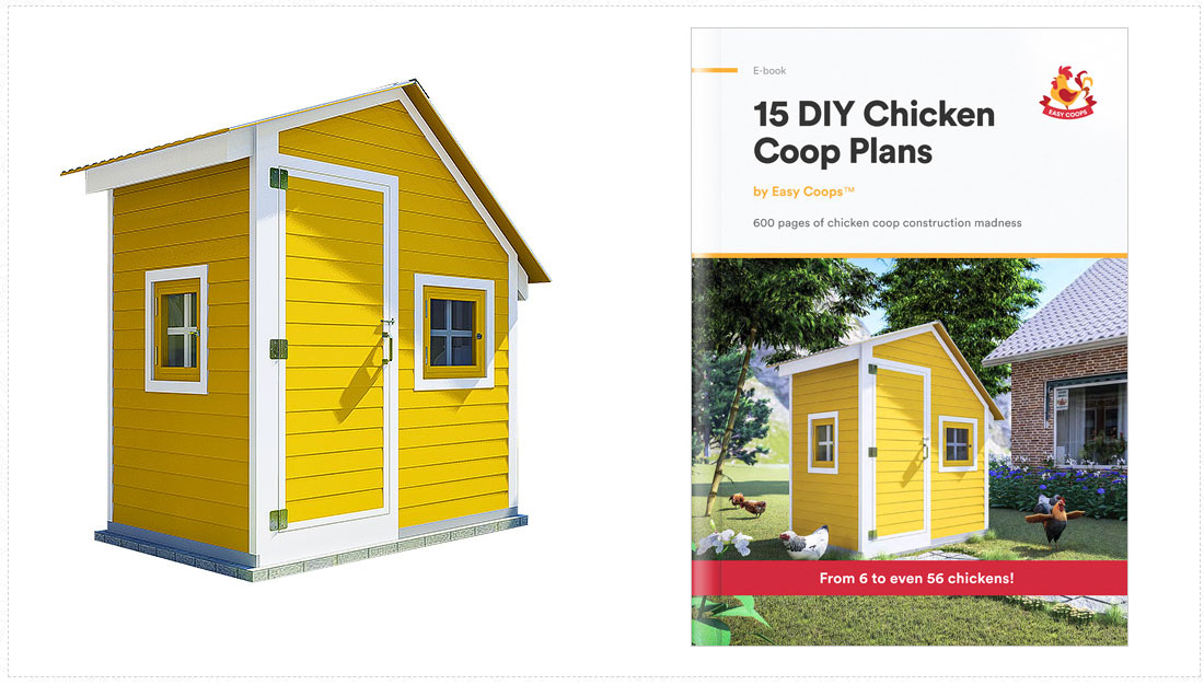 DIY-chicken