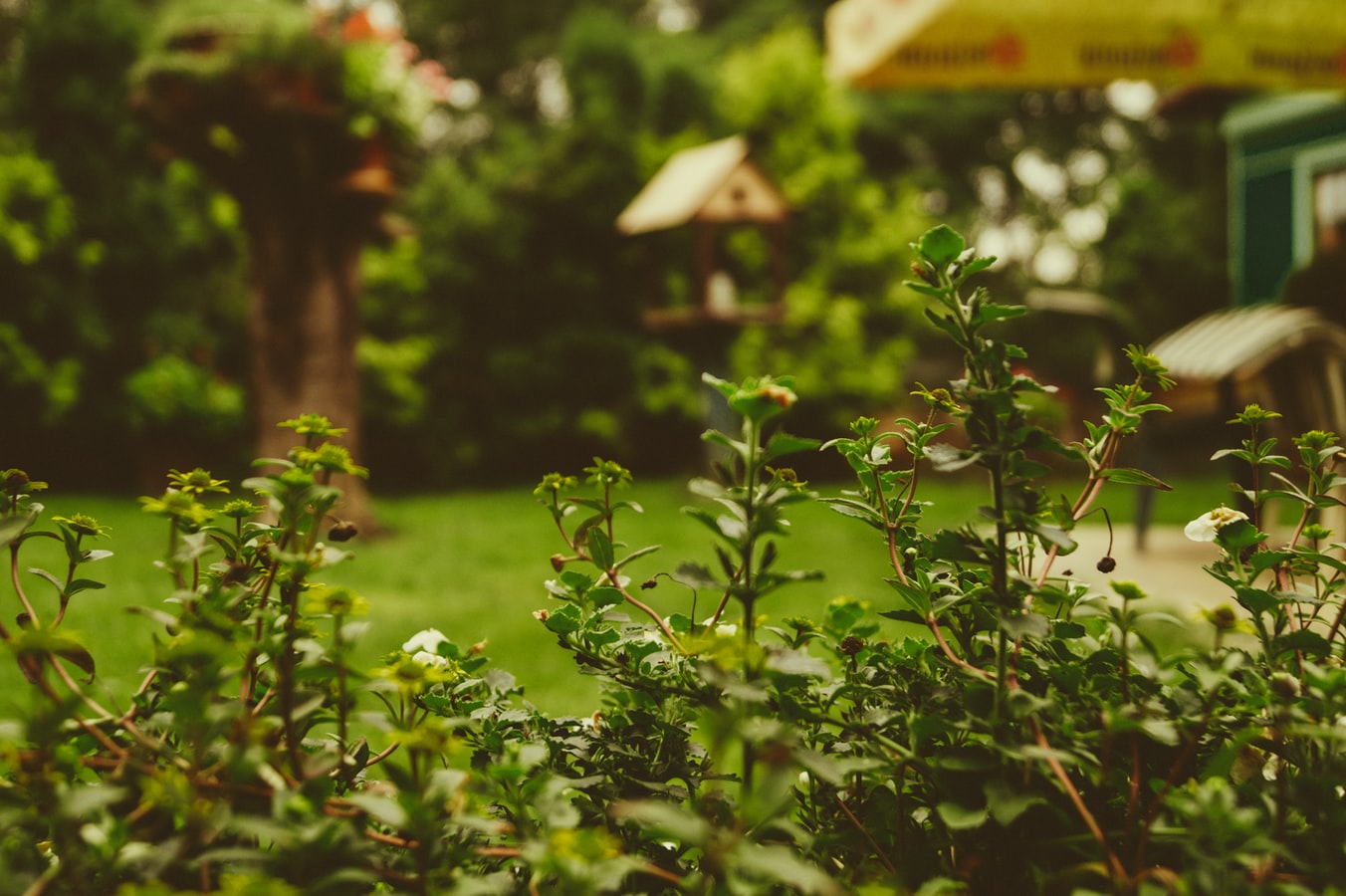 Droit-à-la-vie-privée-dans-le-jardin