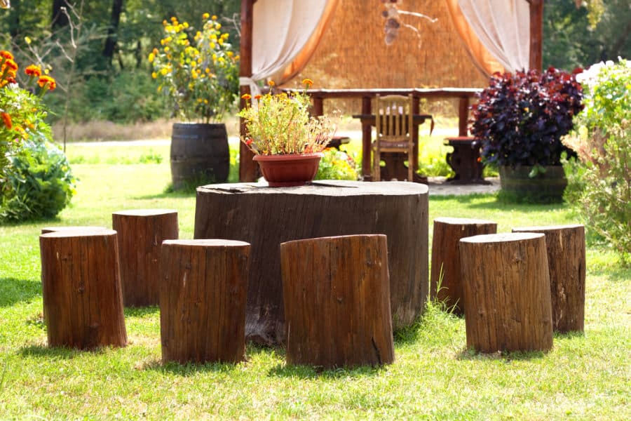 Ensemble-de-souche-d'arbre