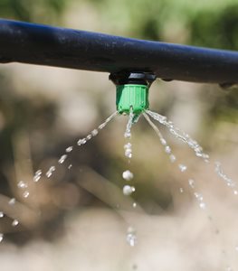 Irrigation-goutte-à-goutte