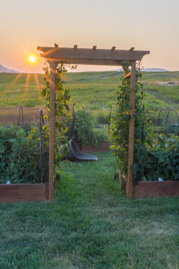 Jardin-Surélevé-Avec-Pergola