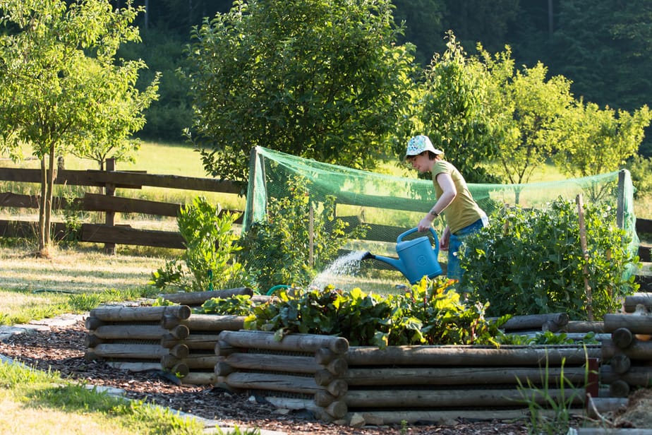 Jardin-Surélevé-De-Style-Rustique