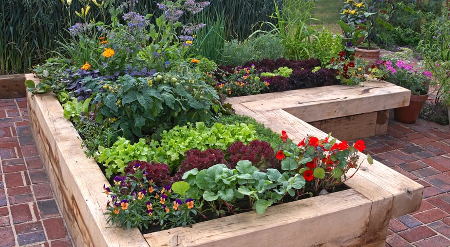 Jardin-Surélevé-En-Forme-De-L