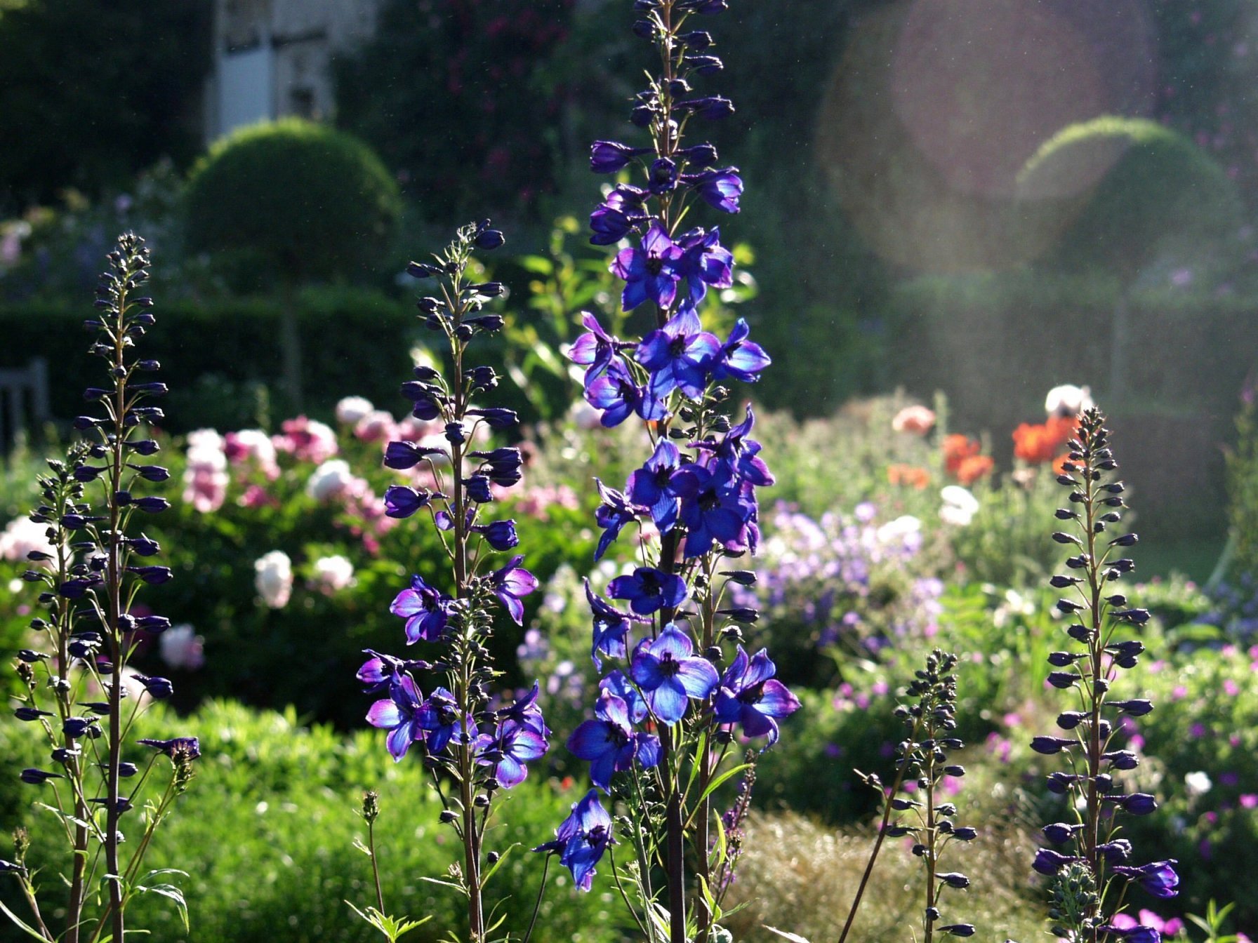 Le-jardin-de-Campagne