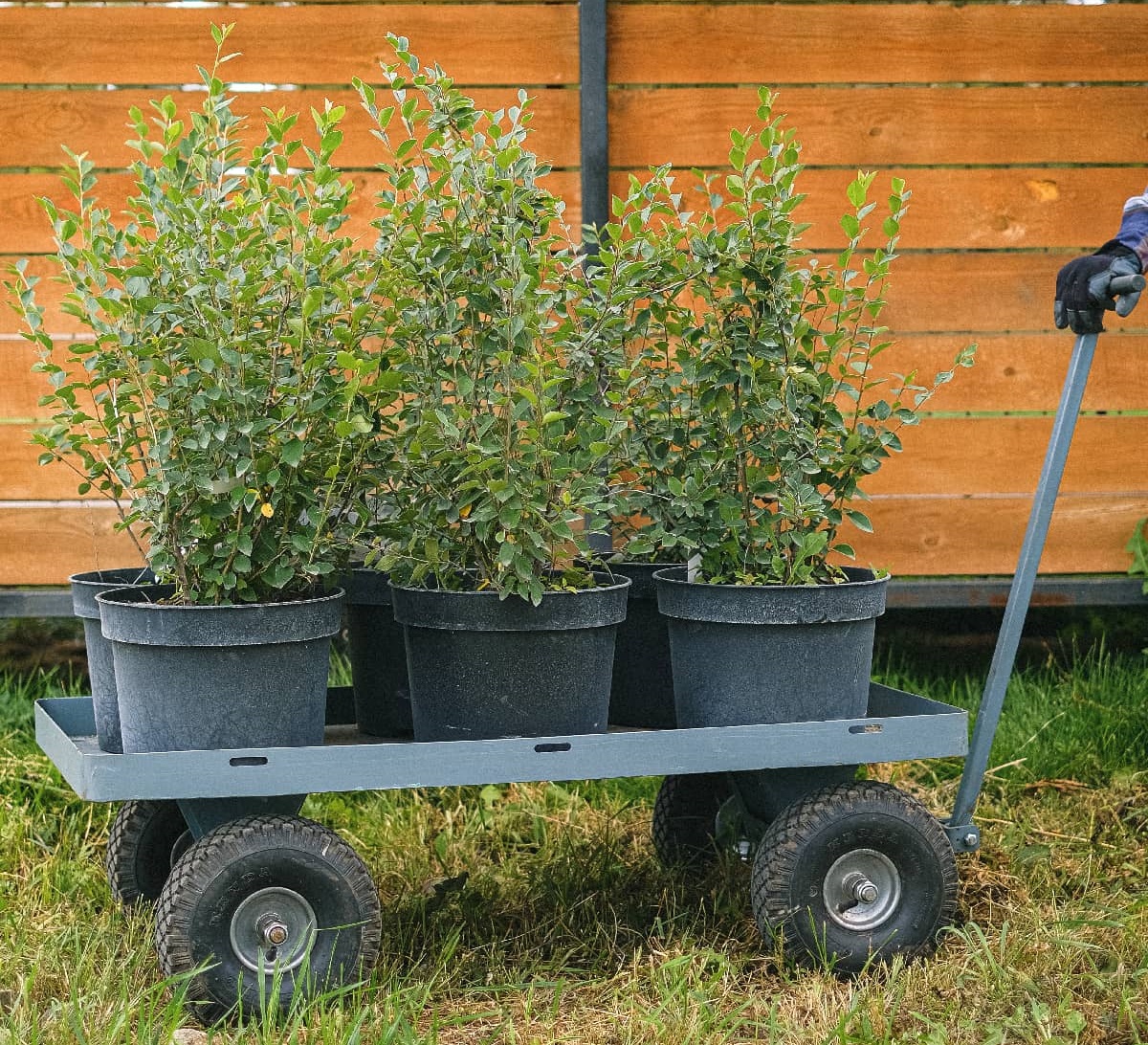 Les-meilleurs-chariots-de-jardin