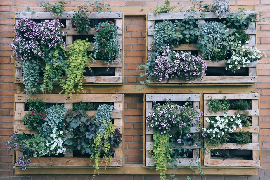 Mur-végétal-fait-de-Palettes-en-bois