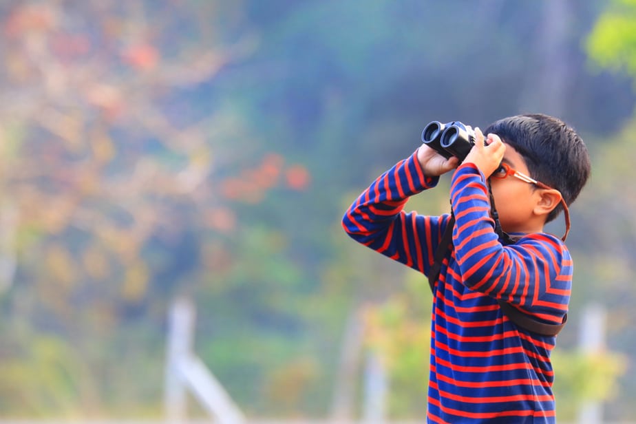 Observation-des-oiseaux