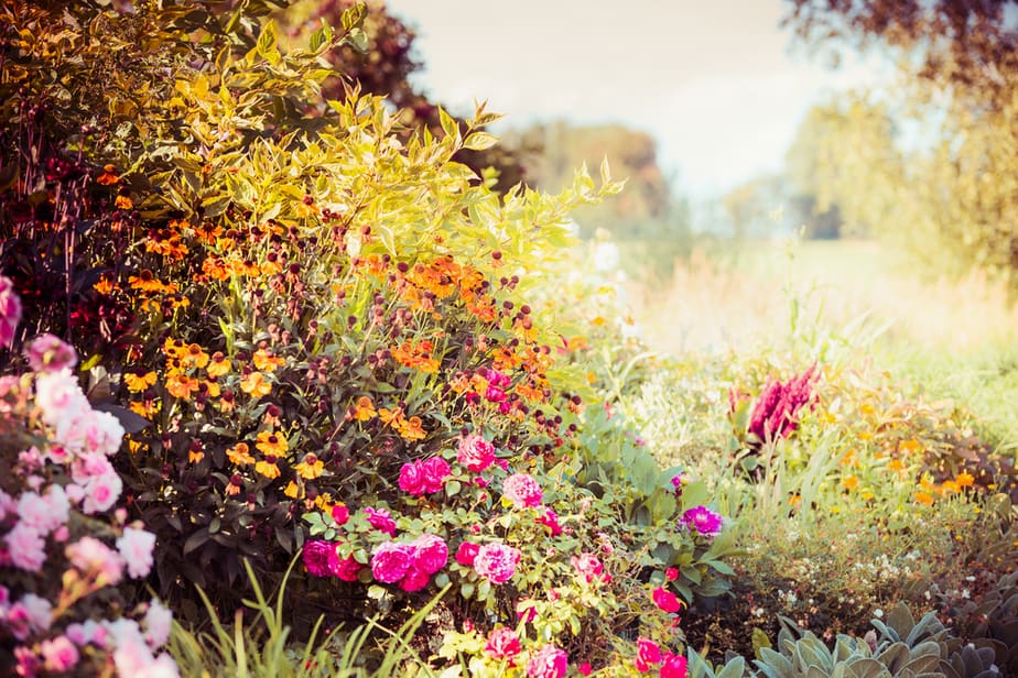 Planter-des-fleurs