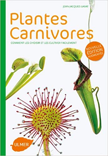Plantes-carnivores-comment-les-choisir-et-les-cultiver-facilement