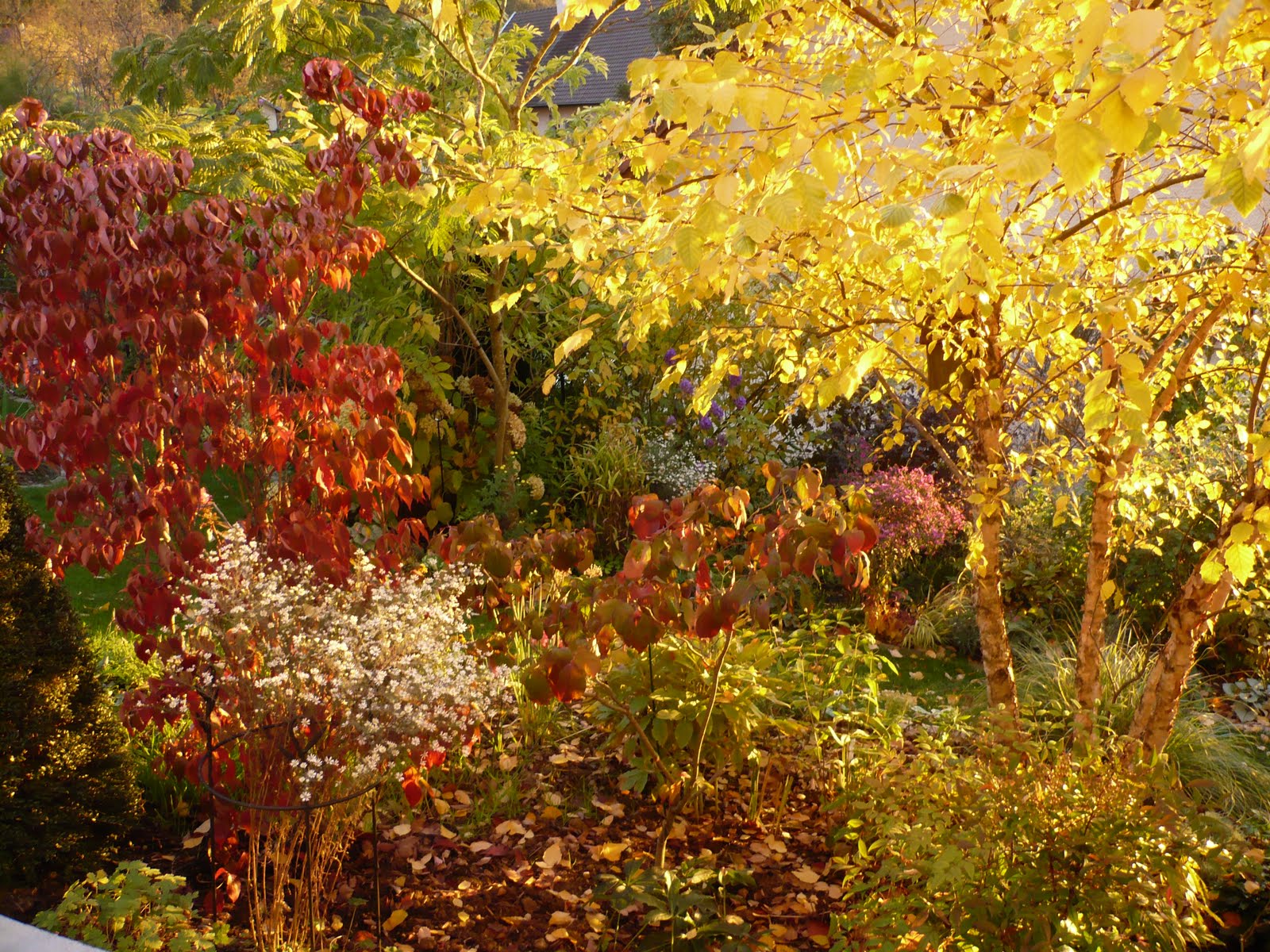 Préparation-de-votre-jardin-pour-l'automne