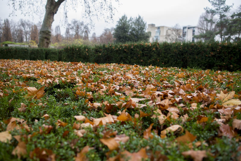 Préparez-votre-jardin-pour-l'automne