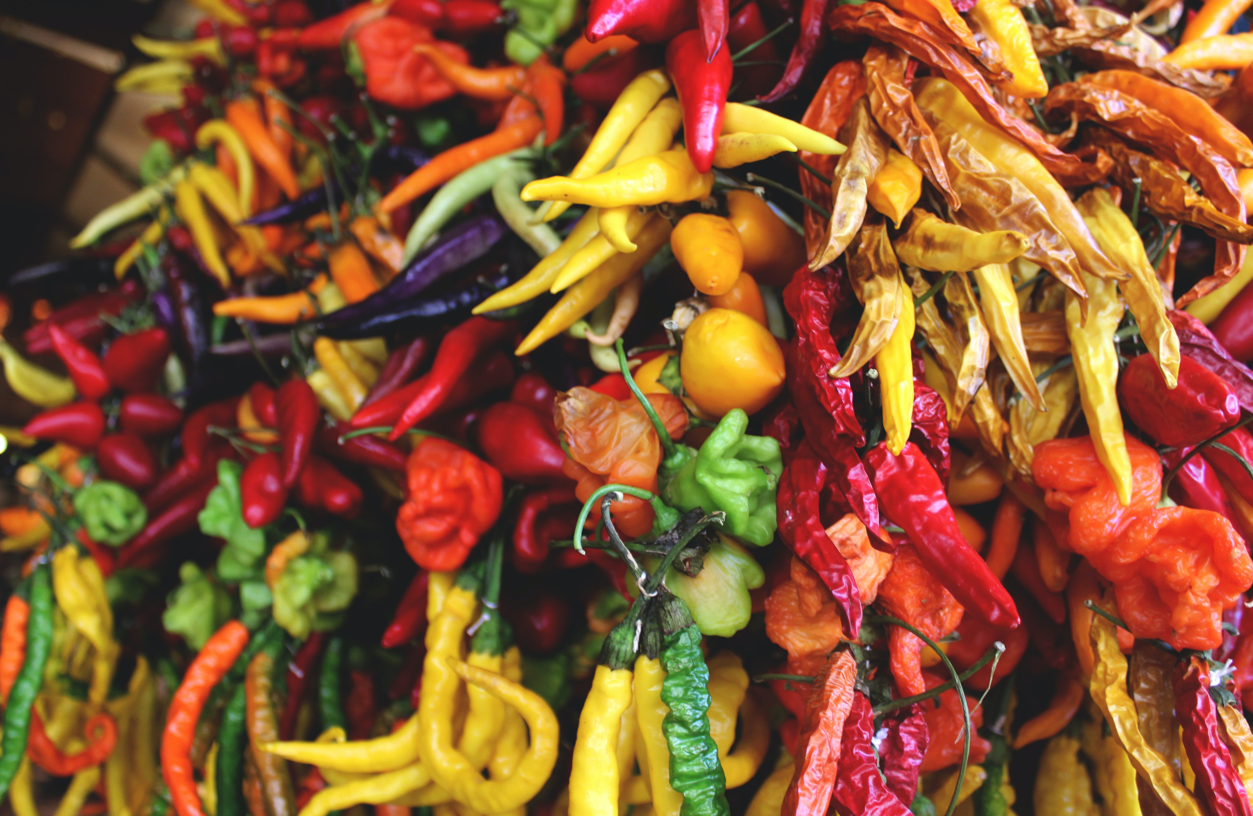 Quel-type-de-légumes-et-piments-à-faire-pousser-à-la-maison