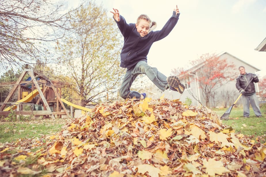 Sauter-dans-les-feuilles