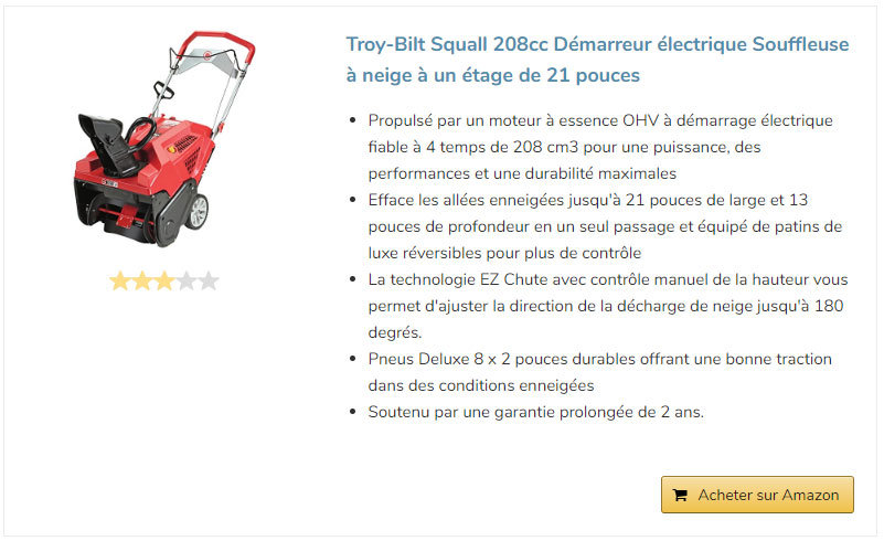 Troy-Bilt-Squall