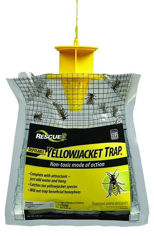 YELLOW-JACKET-TRAP