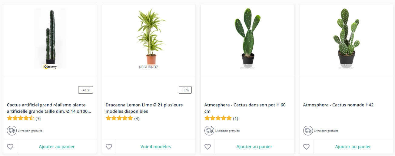 achat-cactus