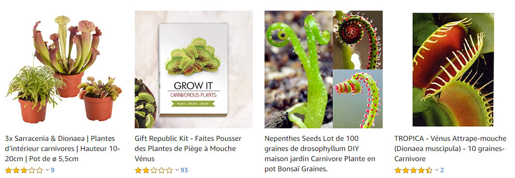 achat-plantes-carnivores