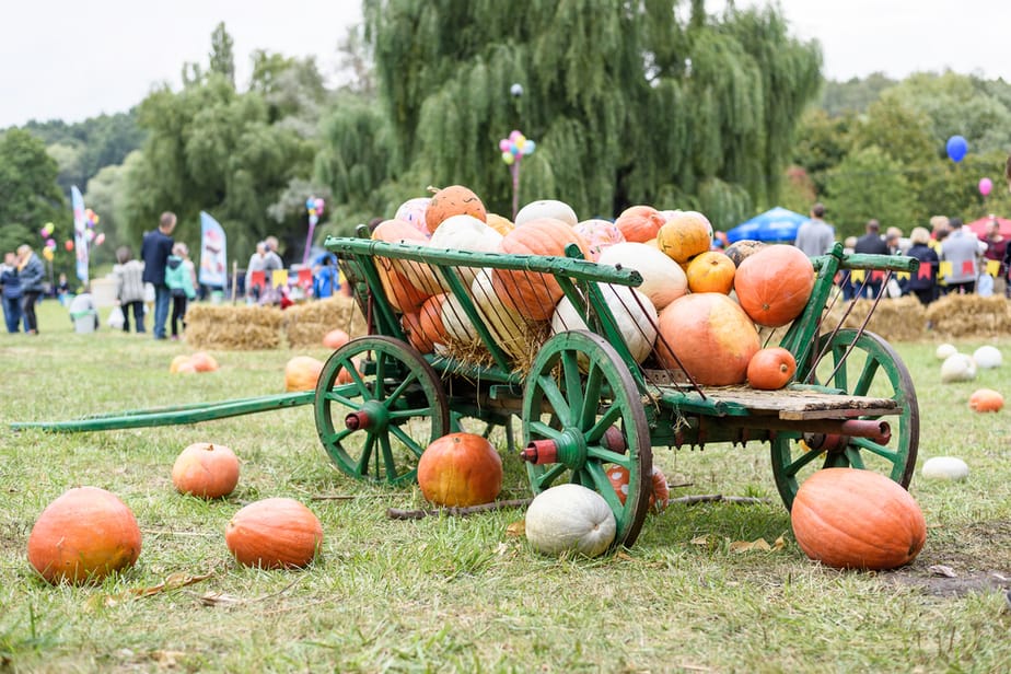 assiter-à-une-foire-d'automne