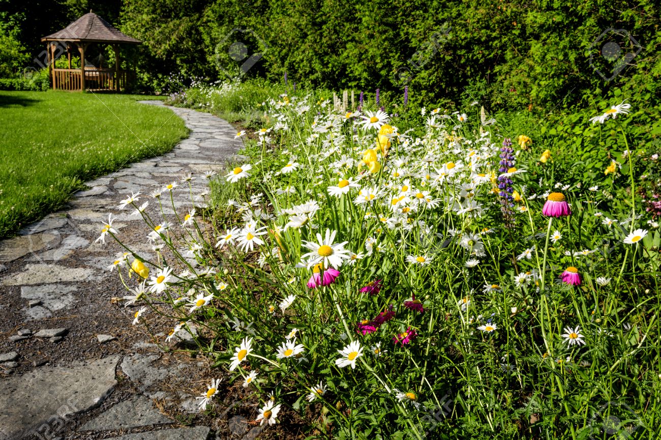 comment-cultiver-un-jardin-de-fleurs-sauvages