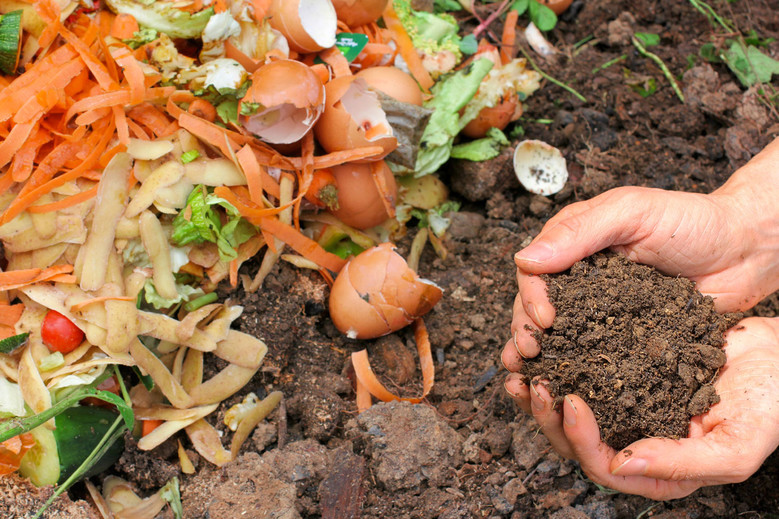 compost-jardin