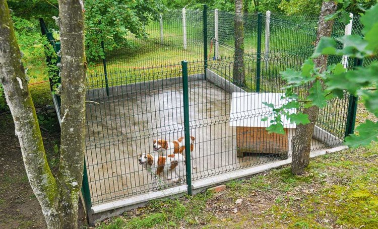 construire-un-chenil-pour-chien