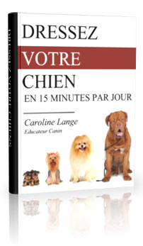 dressez-votre-chien