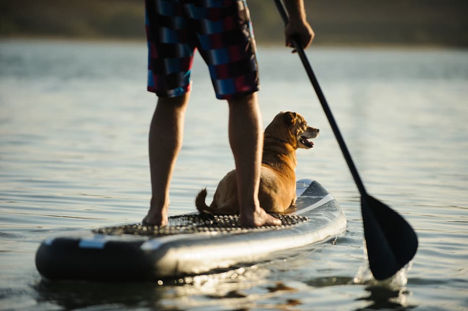 faire-du-paddle