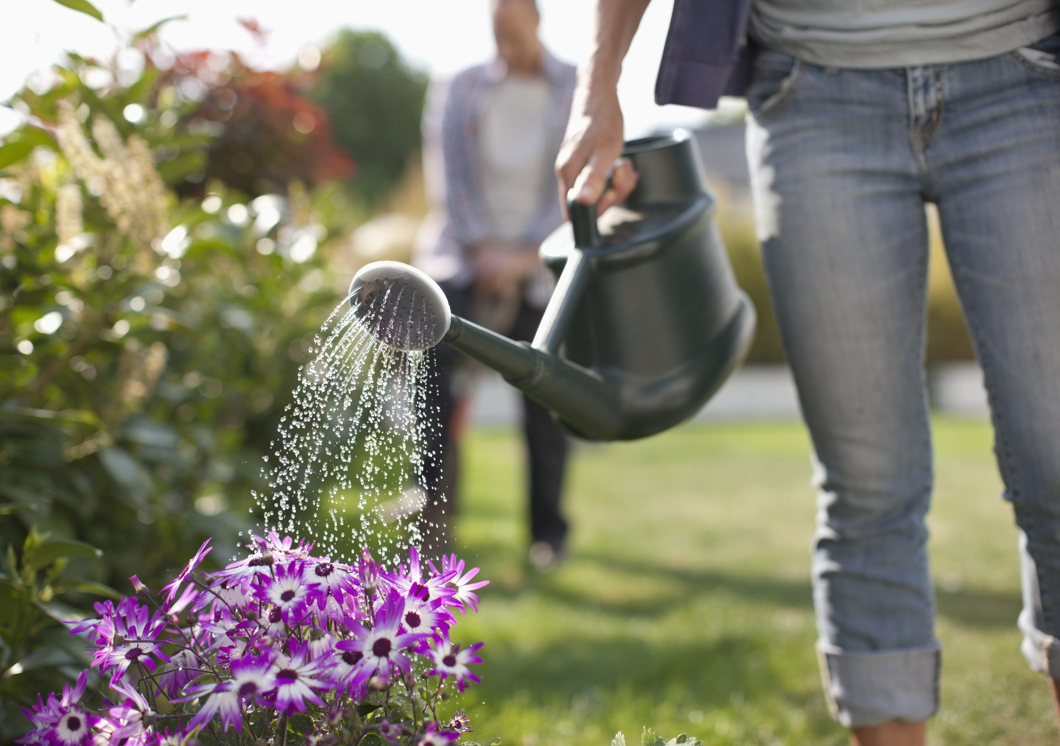 faut-il-arroser-son-jardin-tous-les-jours