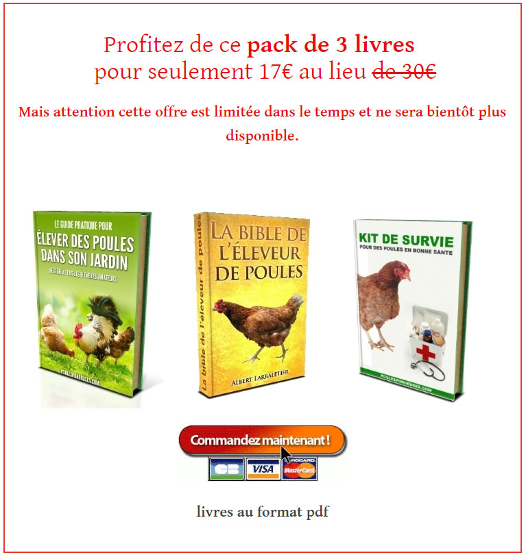 formation-elever-des-poules