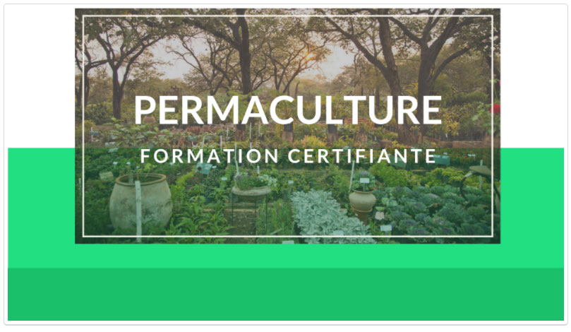 formation-permaculture