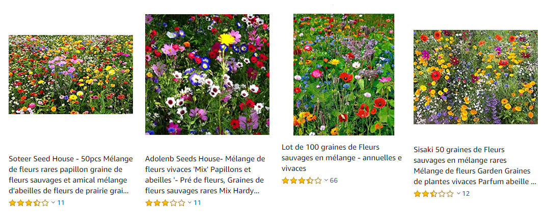 graines-de-fleurs-sauvages