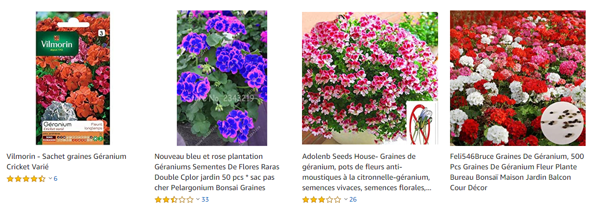 graines-geranium