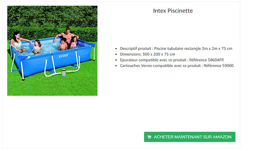 intex-piscine