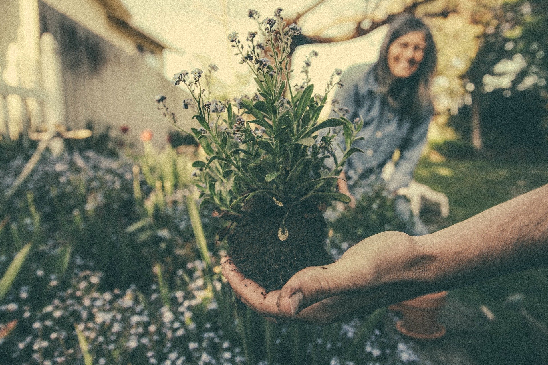 les-bienfaits-du-jardinage