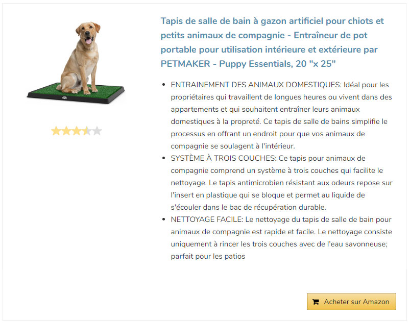 Crotte De Chien Dans Le Jardin Jardin Et Plantes Fr