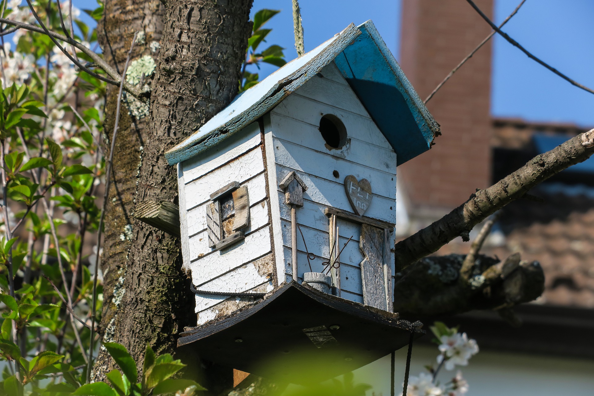 nichoirs-Pour-Oiseaux