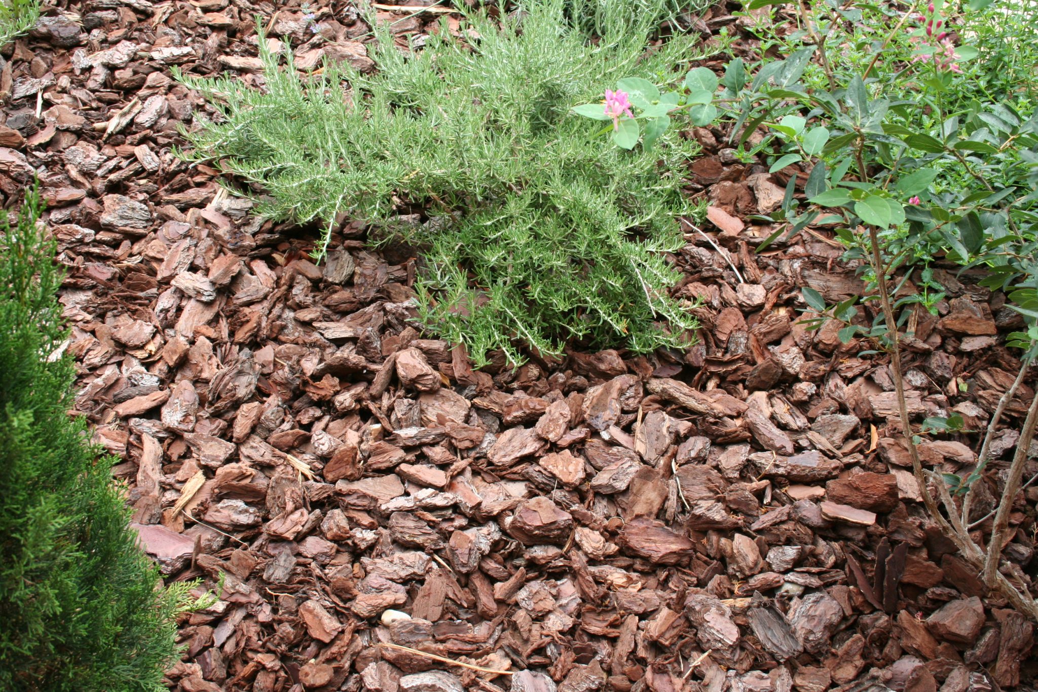 pailler-son-jardin