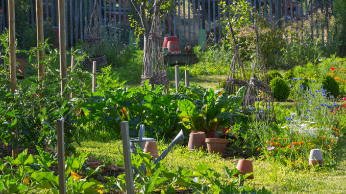 permaculture-formation-ourwin