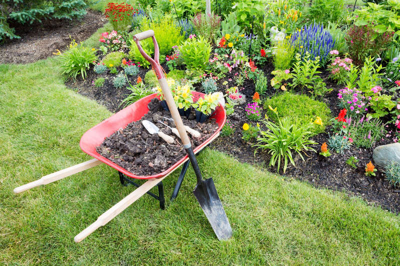 planter-en-été