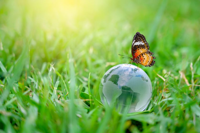 préserver-la-biodiversité