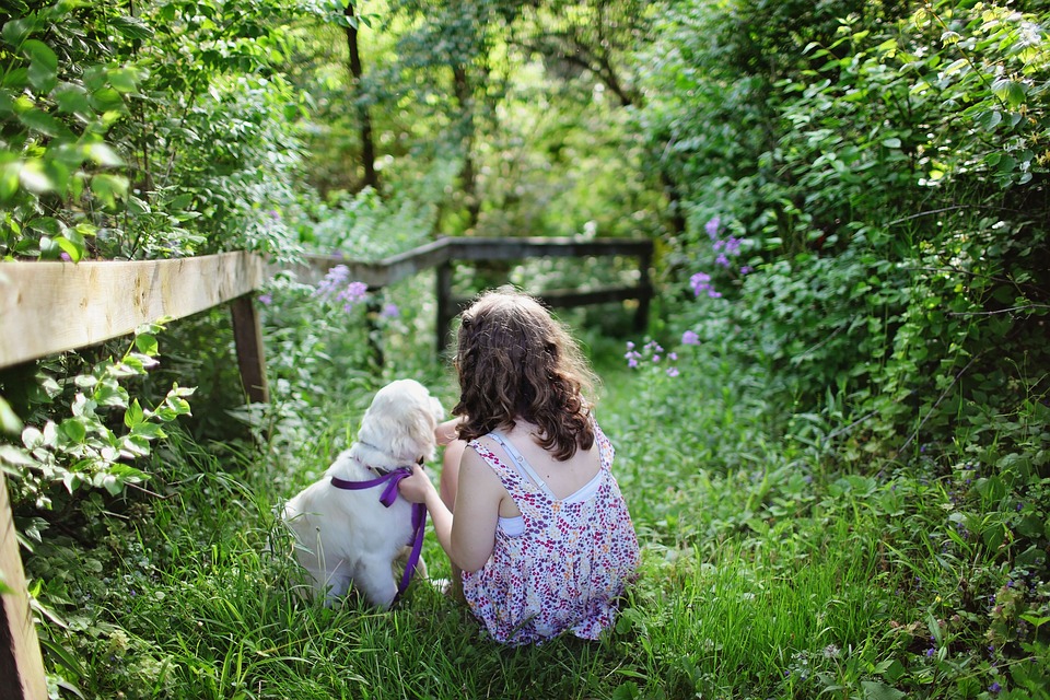 quand-sortir-un-chiot