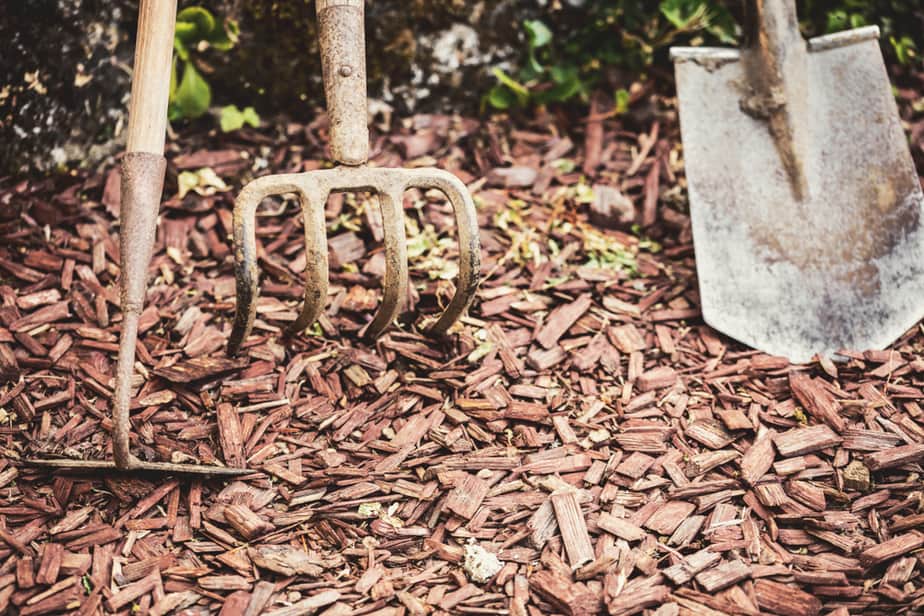 Que faire avec du vieux paillis ? - jardin-et-plantes.fr