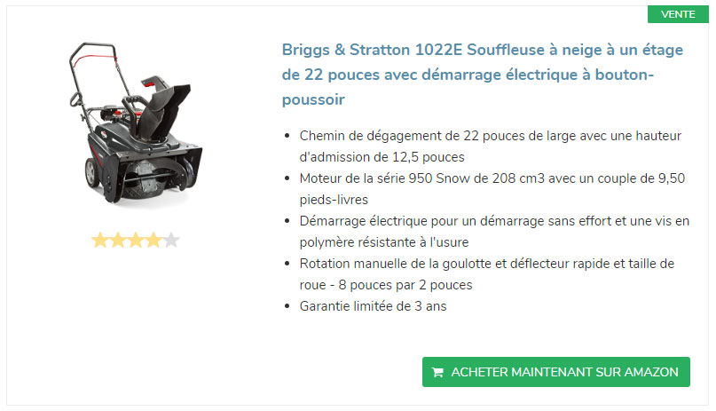 souffleuse-briggs&stratton