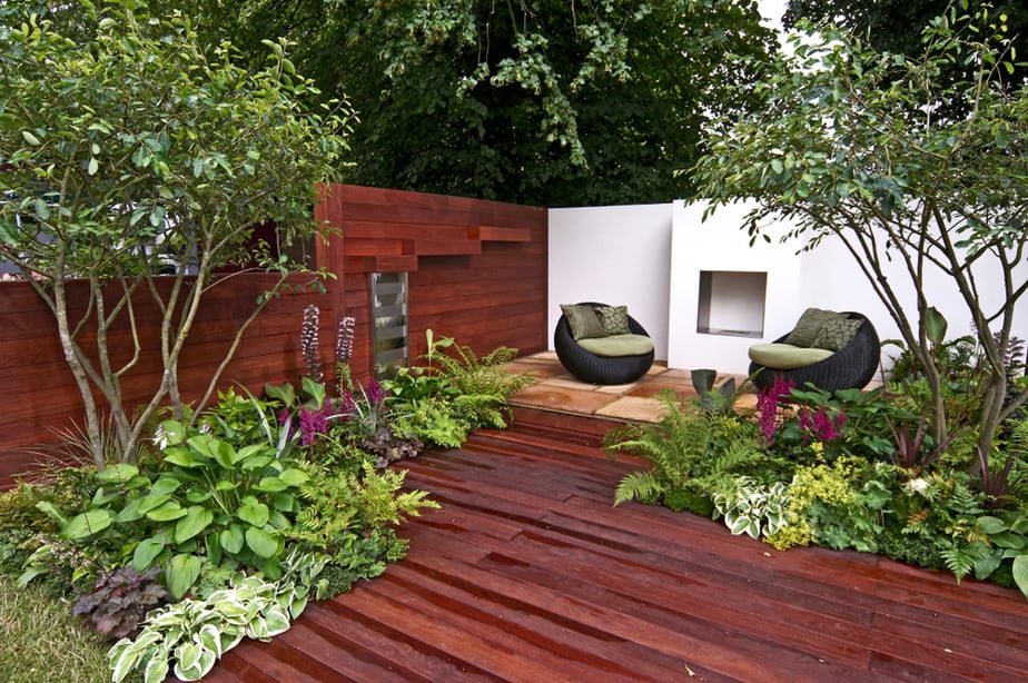 terrasse-plantes