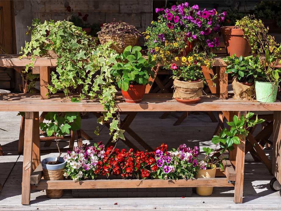 étagères-pour-plantes-extérieures